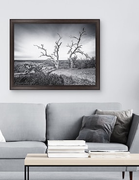 Cuadro decorativo Vista encantada de Andy Crawford técnica mixta Cuadros Jr