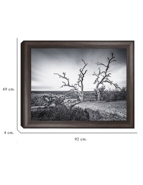 Cuadro decorativo Vista encantada de Andy Crawford técnica mixta Cuadros Jr