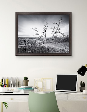 Cuadro decorativo Vista encantada de Andy Crawford técnica mixta Cuadros Jr