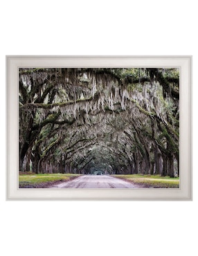 Cuadro decorativo Callejón Wormsloe de Andy Crawford técnica mixta Cuadros Jr