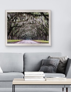 Cuadro decorativo Callejón Wormsloe de Andy Crawford técnica mixta Cuadros Jr