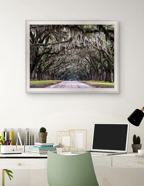 Cuadro decorativo Callejón Wormsloe de Andy Crawford técnica mixta Cuadros Jr