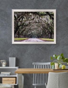 Cuadro decorativo Callejón Wormsloe de Andy Crawford técnica mixta Cuadros Jr