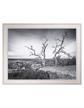Cuadro decorativo Vista encantada de Andy Crawford técnica mixta Cuadros Jr