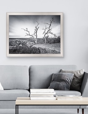 Cuadro decorativo Vista encantada de Andy Crawford técnica mixta Cuadros Jr
