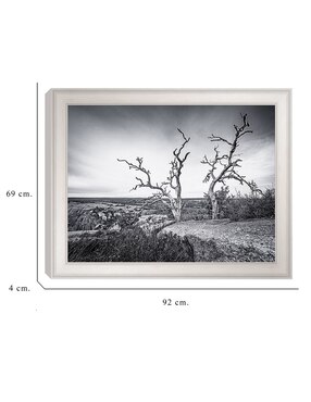 Cuadro decorativo Vista encantada de Andy Crawford técnica mixta Cuadros Jr