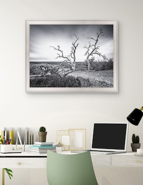 Cuadro decorativo Vista encantada de Andy Crawford técnica mixta Cuadros Jr