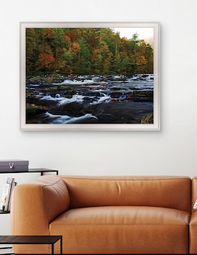 Cuadro decorativo Otoño en el río Tellico de Andy Crawford técnica mixta Cuadros Jr