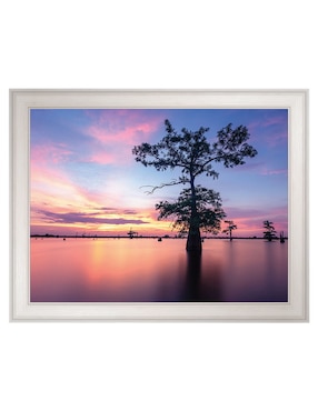 Cuadro decorativo Atardecer del solsticio de verano de Andy Crawford técnica mixta Cuadros Jr