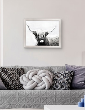 Cuadro decorativo Longhorn de las tierras altas de Danita Delimont técnica mixta Cuadros Jr