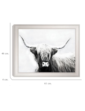 Cuadro decorativo Longhorn de las tierras altas de Danita Delimont técnica mixta Cuadros Jr