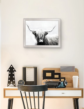 Cuadro decorativo Longhorn de las tierras altas de Danita Delimont técnica mixta Cuadros Jr