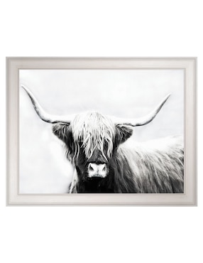Cuadro decorativo Longhorn de las tierras altas de Danita Delimont técnica mixta Cuadros Jr