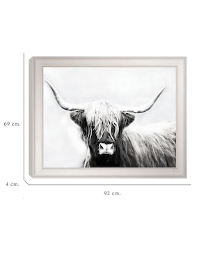 Cuadro decorativo Longhorn de las tierras altas de Danita Delimont técnica mixta Cuadros Jr