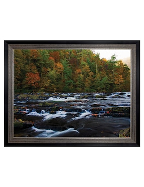 Cuadro decorativo Otoño en el río Tellico de Andy Crawford técnica mixta Cuadros Jr