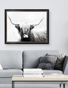 Cuadro decorativo Longhorn de las tierras altas de Danita Delimont técnica mixta Cuadros Jr
