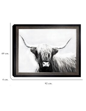 Cuadro decorativo Longhorn de las tierras altas de Danita Delimont técnica mixta Cuadros Jr