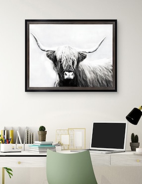 Cuadro decorativo Longhorn de las tierras altas de Danita Delimont técnica mixta Cuadros Jr
