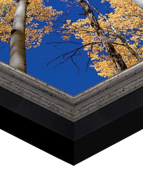 Cuadro decorativo Bosque blanco de álamos de Andy Crawford técnica mixta Cuadros Jr