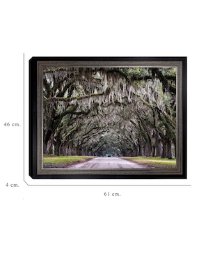 Cuadro decorativo Callejón Wormsloe de Andy Crawford técnica mixta Cuadros Jr