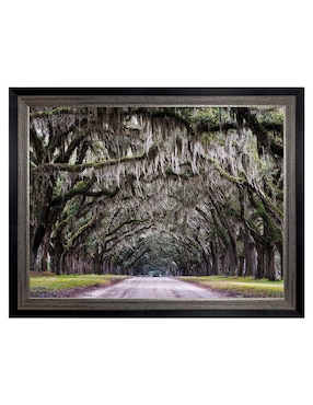 Cuadro decorativo Callejón Wormsloe de Andy Crawford técnica mixta Cuadros Jr