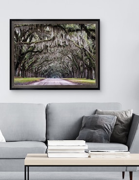 Cuadro decorativo Callejón Wormsloe de Andy Crawford técnica mixta Cuadros Jr