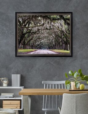 Cuadro decorativo Callejón Wormsloe de Andy Crawford técnica mixta Cuadros Jr