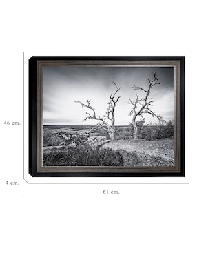 Cuadro decorativo Vista encantada de Andy Crawford técnica mixta Cuadros Jr