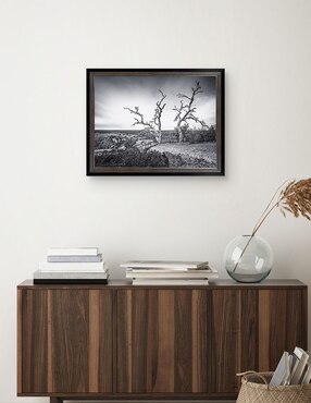 Cuadro decorativo Vista encantada de Andy Crawford técnica mixta Cuadros Jr