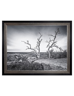 Cuadro decorativo Vista encantada de Andy Crawford técnica mixta Cuadros Jr