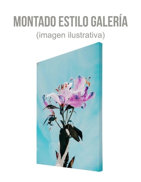 Cuadro decorativo Generica