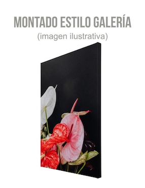 Cuadro decorativo Generica