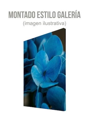 Cuadro decorativo Generica
