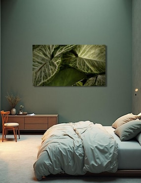 Cuadro decorativo Generica