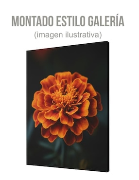 Cuadro decorativo Generica