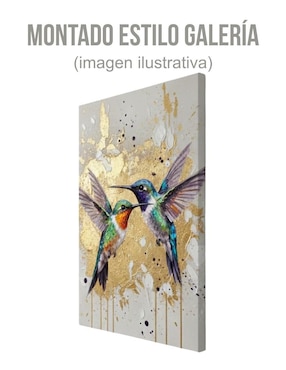 Cuadro decorativo Generica Animal colibríes 70x100cm