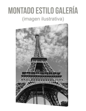 Cuadro decorativo generica paisaje torre Eiffel 40 x 60 cm