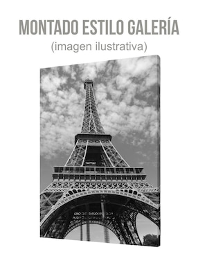 Cuadro decorativo Generica paisaje Torre Eiffel