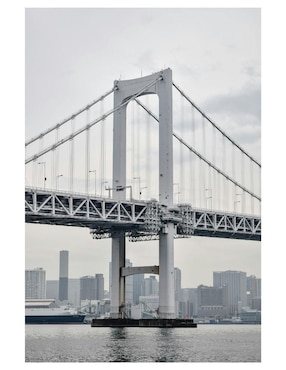 Cuadro decorativo Generica Paisaje Golden Gate