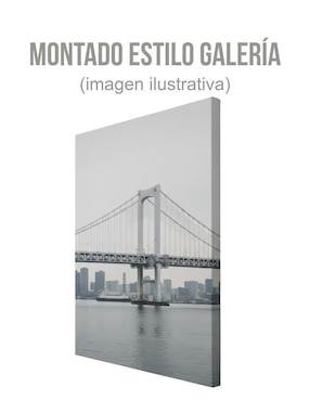 Cuadro decorativo Generica Paisaje Golden Gate