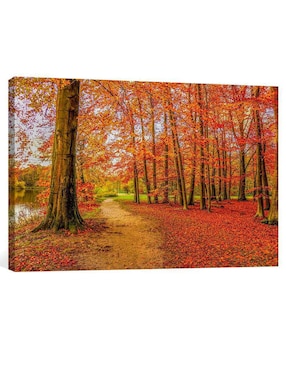 Fotografía Pixelarte Naturaleza