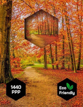 Fotografía Pixelarte Naturaleza