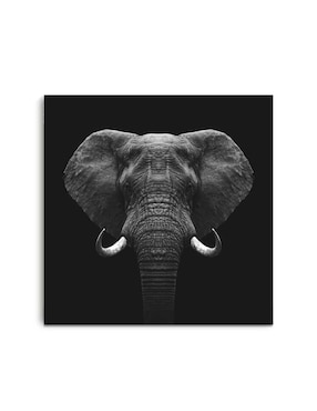 Cuadro Decorativo Canvas Art Elefante Blanco Y Negro Con Barniz A Registro