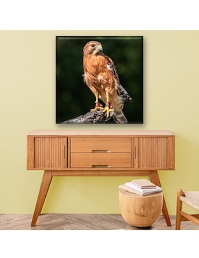 Cuadro decorativo Industria Grafica Ciento 23 Águila en pose