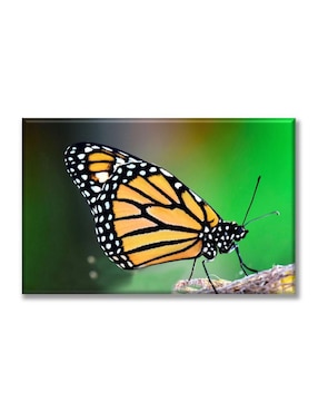 Cuadro Decorativo Industria Gráfica Ciento 23 Mariposa Monarca