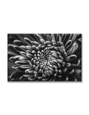 Cuadro decorativo Industria Grafica Ciento 23 Dalia blanco y negro