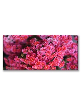 Cuadro decorativo Industria Grafica Ciento 23 Florecitas rosas