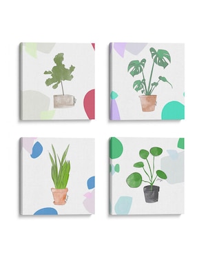 Set Litografías Canvas Lab Set 4 Lindas Plantitas Técnica Impresión