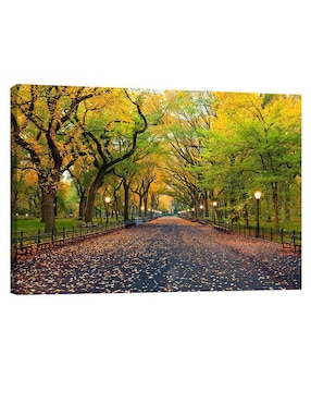 Cuadro Decorativo Pixelarte Nueva York Central Park En Otoño