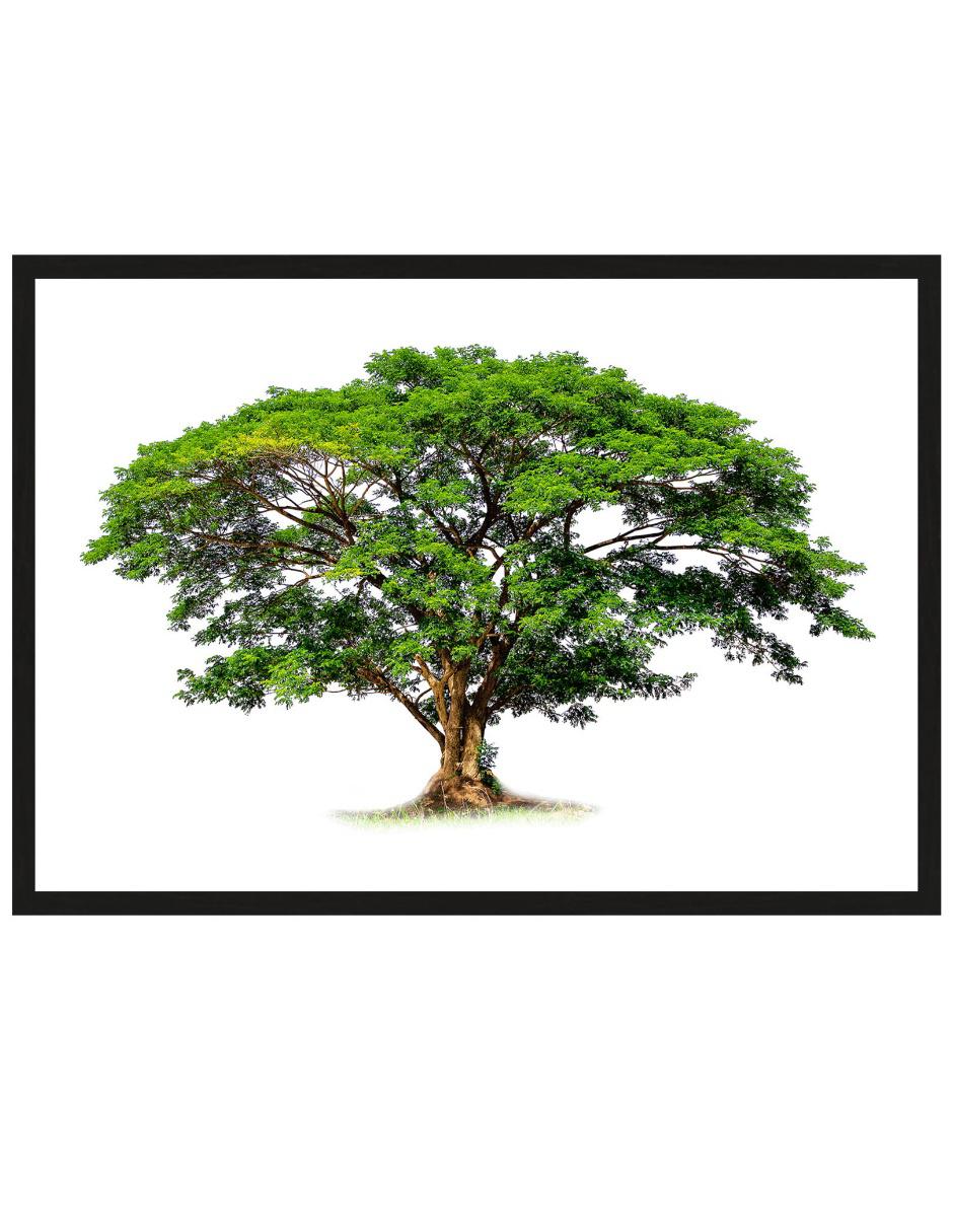 Litografía técnica impresión